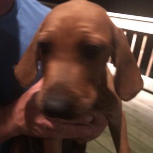 Meet your Posher, Daniel